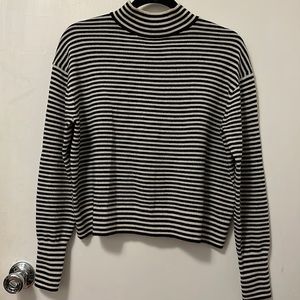 Everlane Striped Cashmere Mockneck Sweater